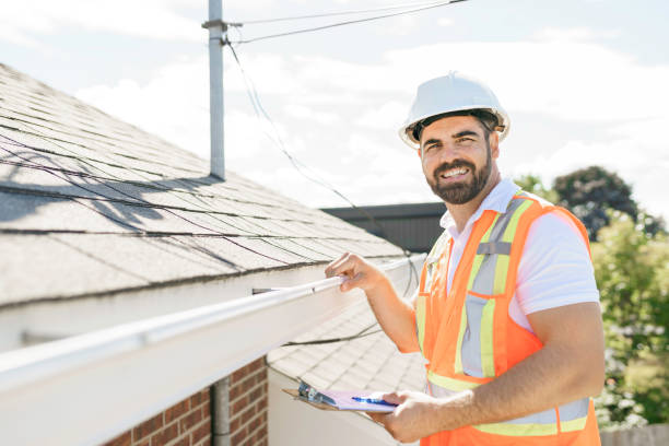 Best Gutter Installation and Repair  in Janesville, MN